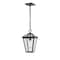 Z-Lite Talbot 1 Light Outdoor Chain Mount Ceiling Fixture, Black & Clear Beveled 579CHM-BK - alternate 1